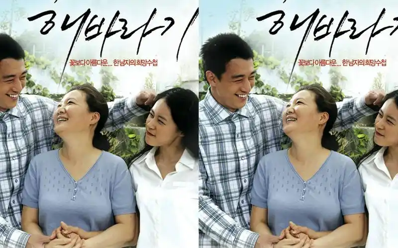 向日葵:看过这部电影的人都知道,男主这也太惨了吧