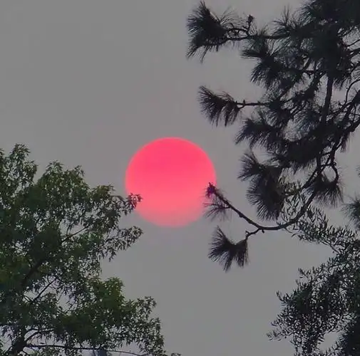 世中仙儿の原宿风背景壁纸 动漫背景壁纸 卡通背景壁纸 欧美背景壁纸
