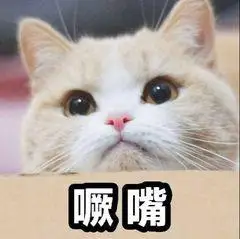 噘嘴- 斗图表情包 - 金馆长表情库 - 真正的斗图网站 - pkdoutu.com