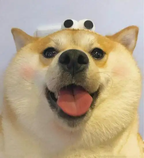 最新超火无敌可爱又略调皮的微信头像可可爱爱没有脑袋