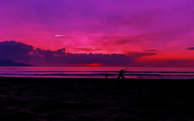 揭秘目前很火的抖音内录搬运核心技术完整版含所有软件和教程课代表