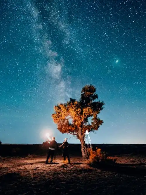 新疆92绝美星空地心形胡杨树孤独又浪漫