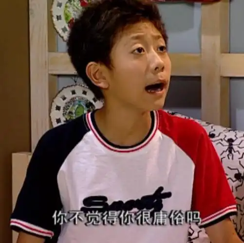 家有儿女表情包 刘星