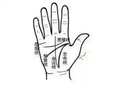 小孩生命线很短怎么办 小孩生命线很短就分叉是什么原因-善吉网