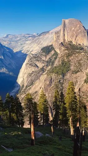 壁纸 美国约塞米蒂国家公园,树木,山脉,自然景观 2560x1600 hd 高清