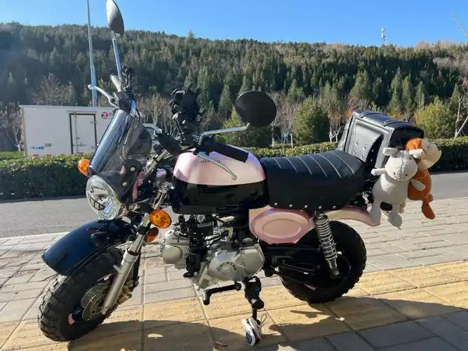 gsx250金城小猴子jc70