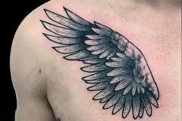 前胸翅膀纹身图案大面积翅膀纹身2