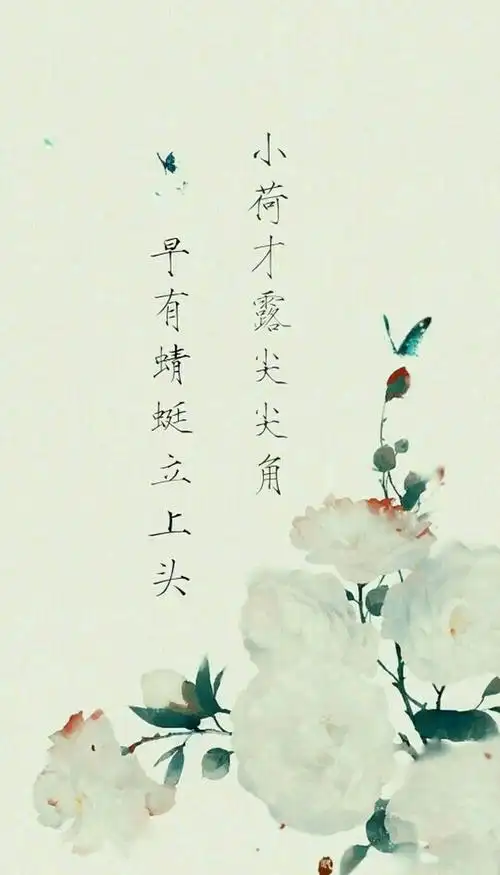 最美古诗词小荷才露尖尖角,早有蜻蜓立上头.