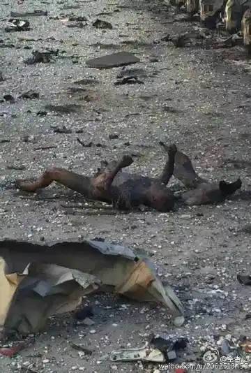 仝杏儿  2015-8-13 15:12 来自 荣耀畅玩4x·快科技 2天津·新港街区