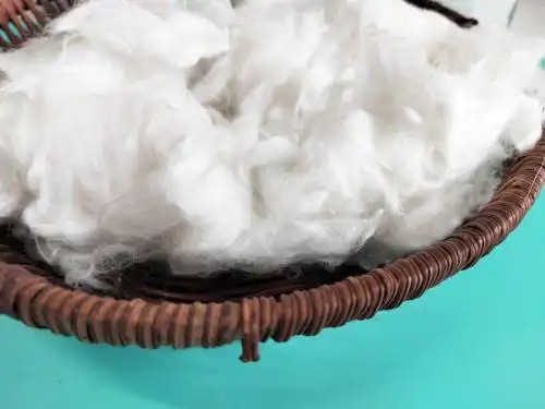 你知道这种纤维吗水刺蚕丝短纤