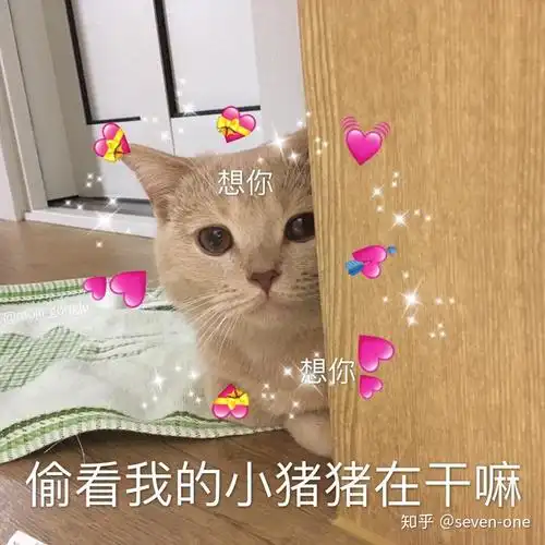 有哪些撩男友的表情包? - 知乎