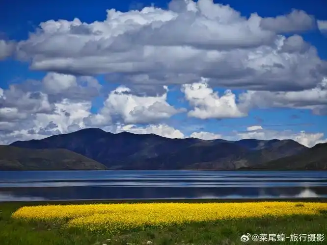 #重新去发现世界#