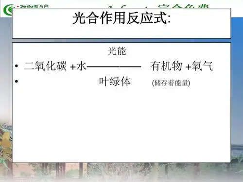 光合作用反应式: 光能   二氧化碳  水————— 有机物  氧气
