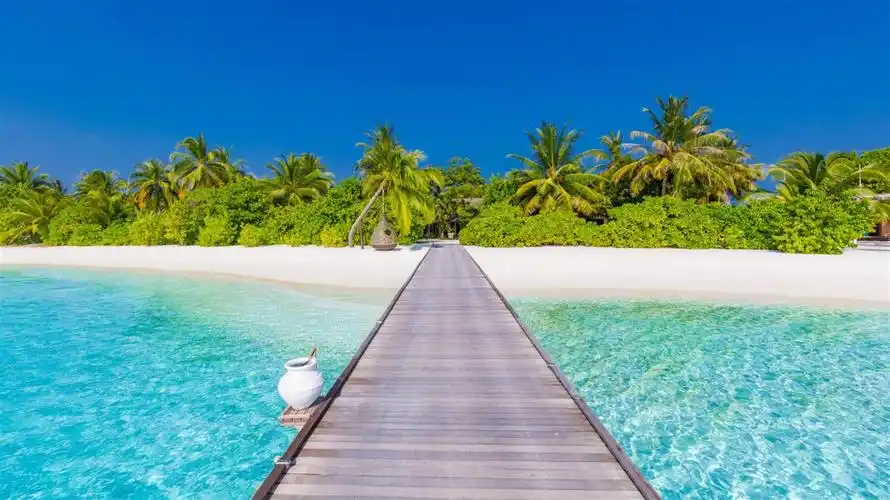 冬日听海浪win10迎来阳光沙滩4k新主题