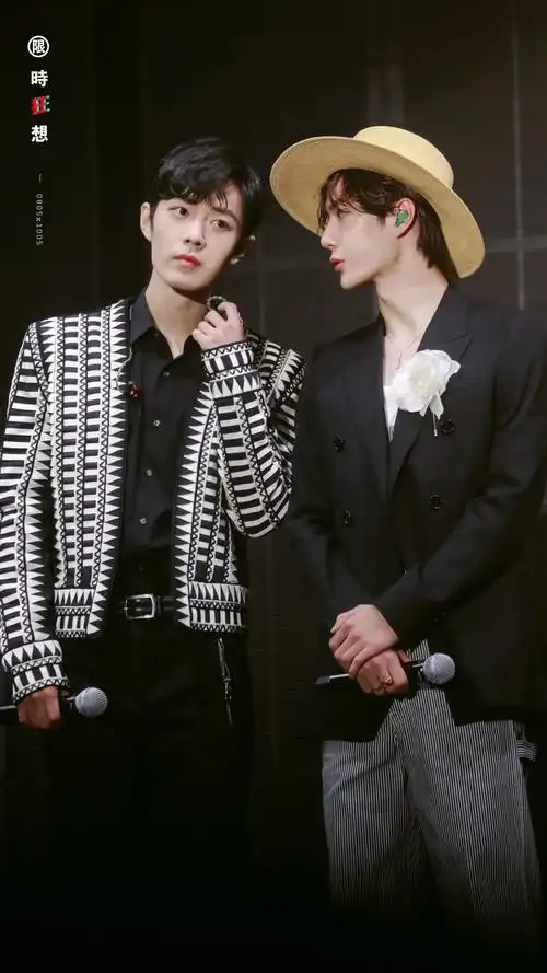 博君一肖王一博肖战cp陈情令演唱会