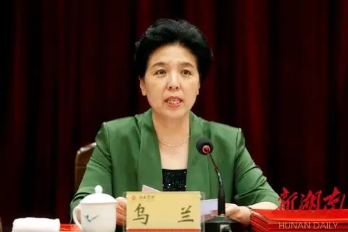 省委副书记,省长许达哲讲话.