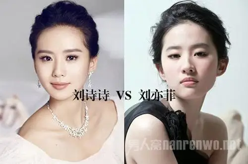 刘诗诗刘亦菲相似度高