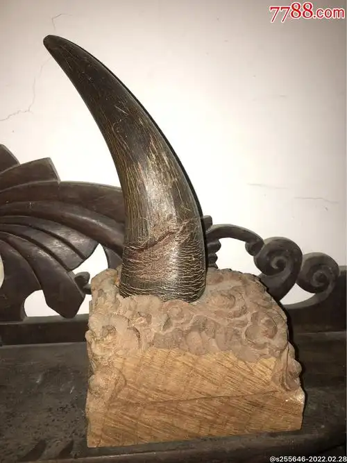 老牛角摆件【带檀香木底座】-其他角制品-7788古籍收藏