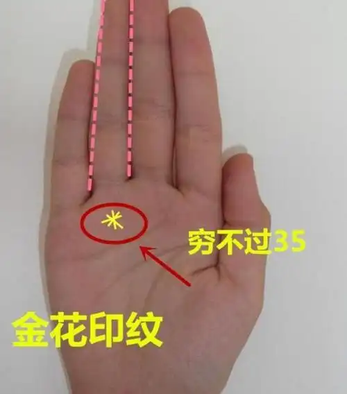 十分少见的吉利手相,不管男女天生命好,注定一生富贵