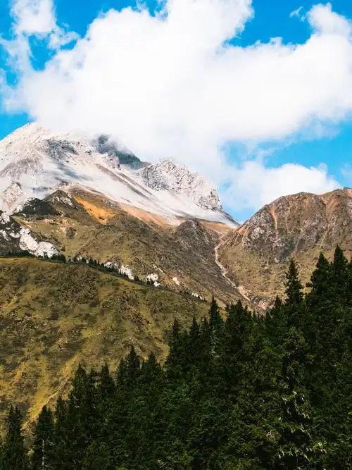 蓝天白云 高山雪顶 挺拔的松树 希望今夜的梦里也有