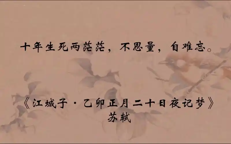 十年生死两茫茫不思量(十年生死两茫茫不思量自难忘背后的故事)