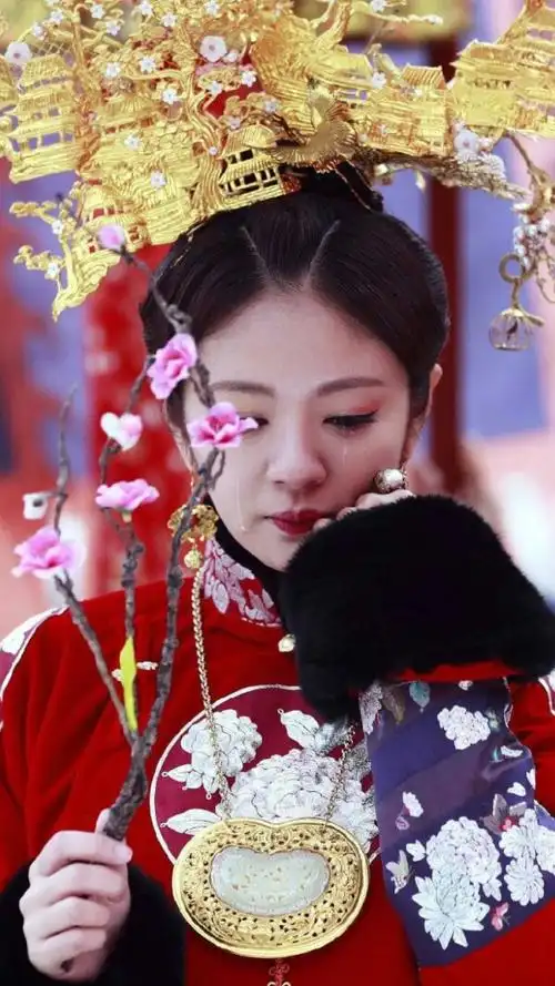 半妖倾城应蝶安以轩