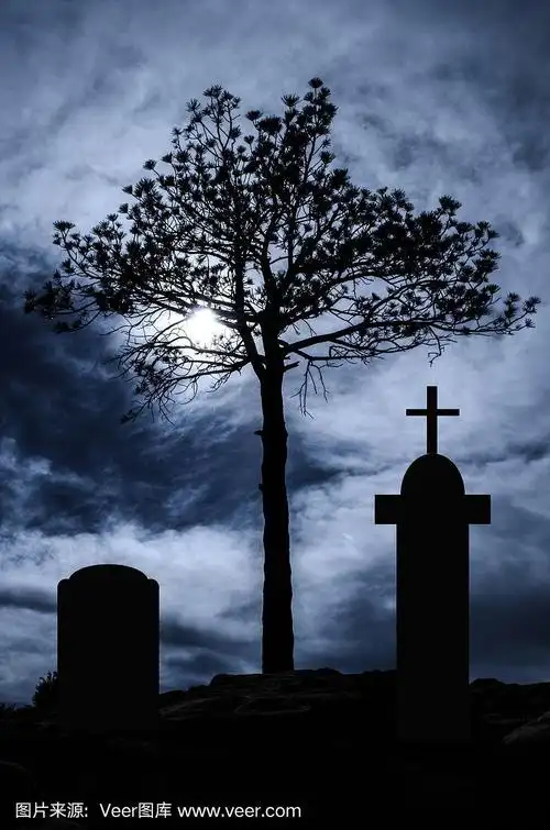 月光皎洁的墓地里一棵阴森森的树
