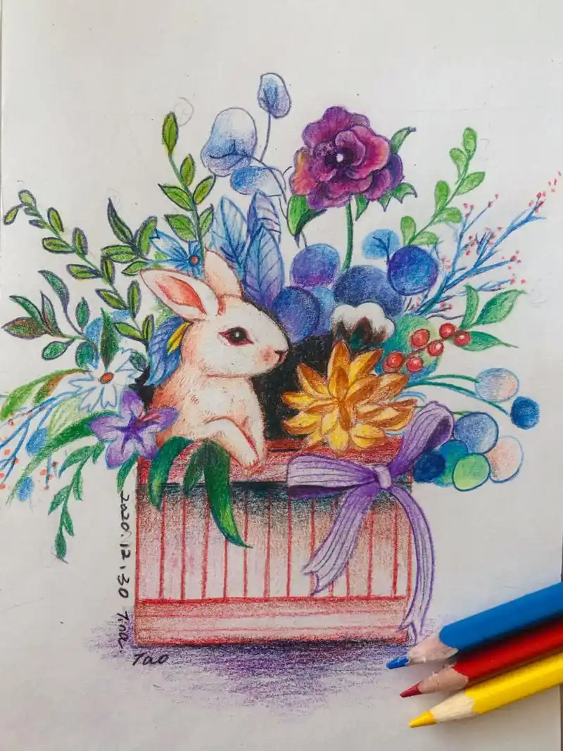 简单又漂亮的彩铅画很适合孩子们