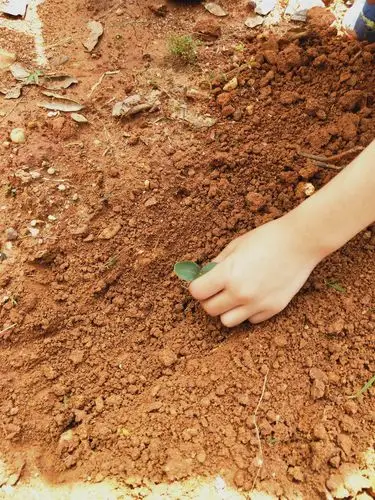 你们,想像他们一样亲手播种下希望的种子嘛?