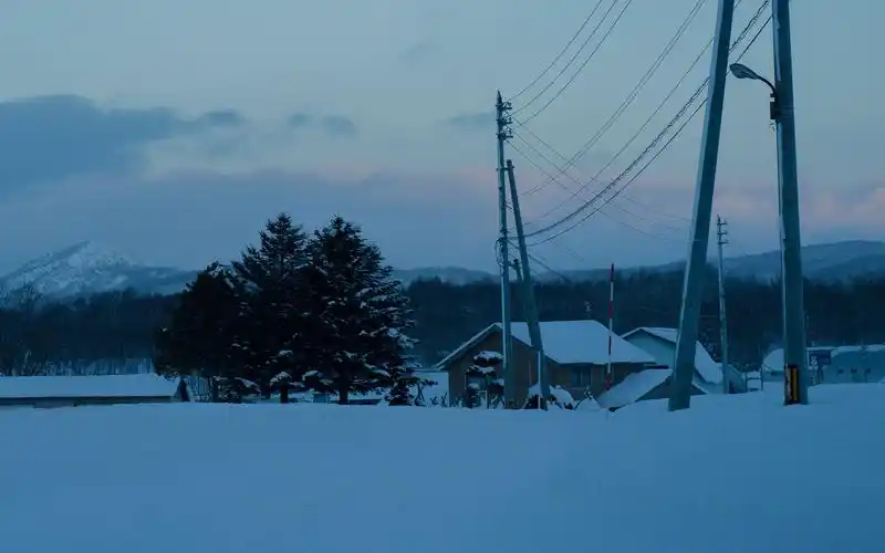 北海道的冬日雪景高清桌面壁纸