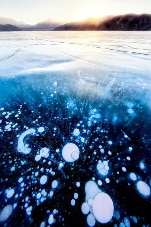 幽蓝色的冰泡背后水有多深?微距摄影,给你呈现惊艳的超级梦幻!