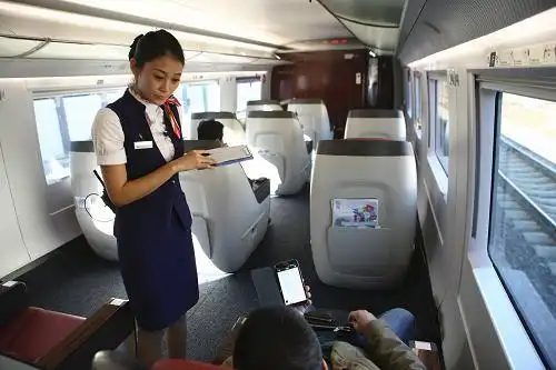 新型高速动车组投入京沪高铁运营组图