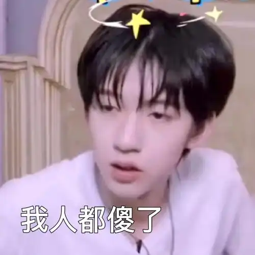 我人都傻了贺峻霖表情包