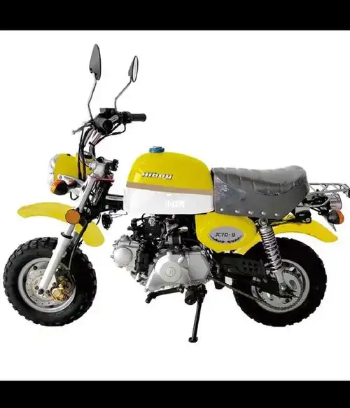 台州金城小猴子全新110cc