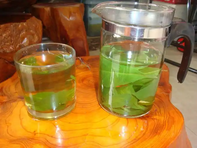 金鸡毛草 我赞美你!