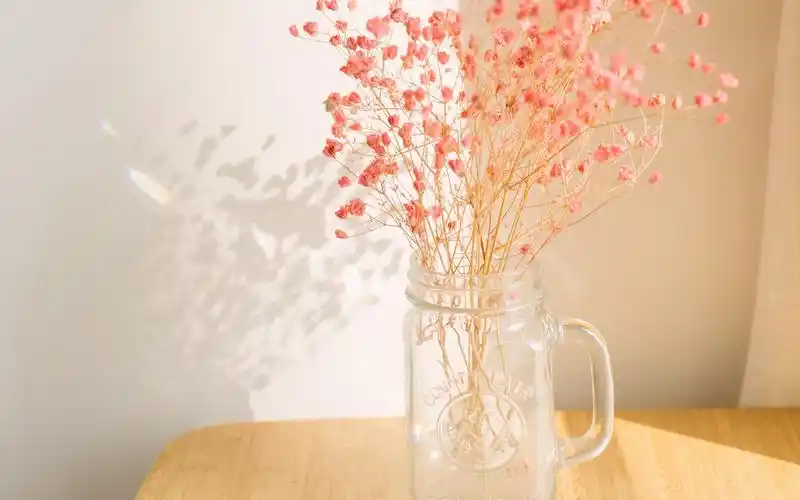 唯美静物图片大全 家居摄影图片