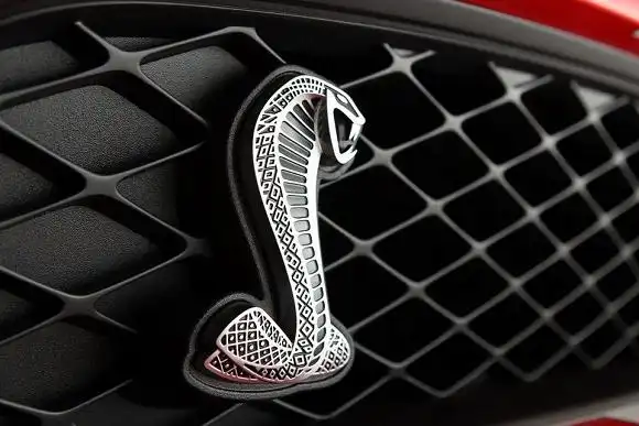 《一条大蛇标志是甚么车,还张着嘴巴》