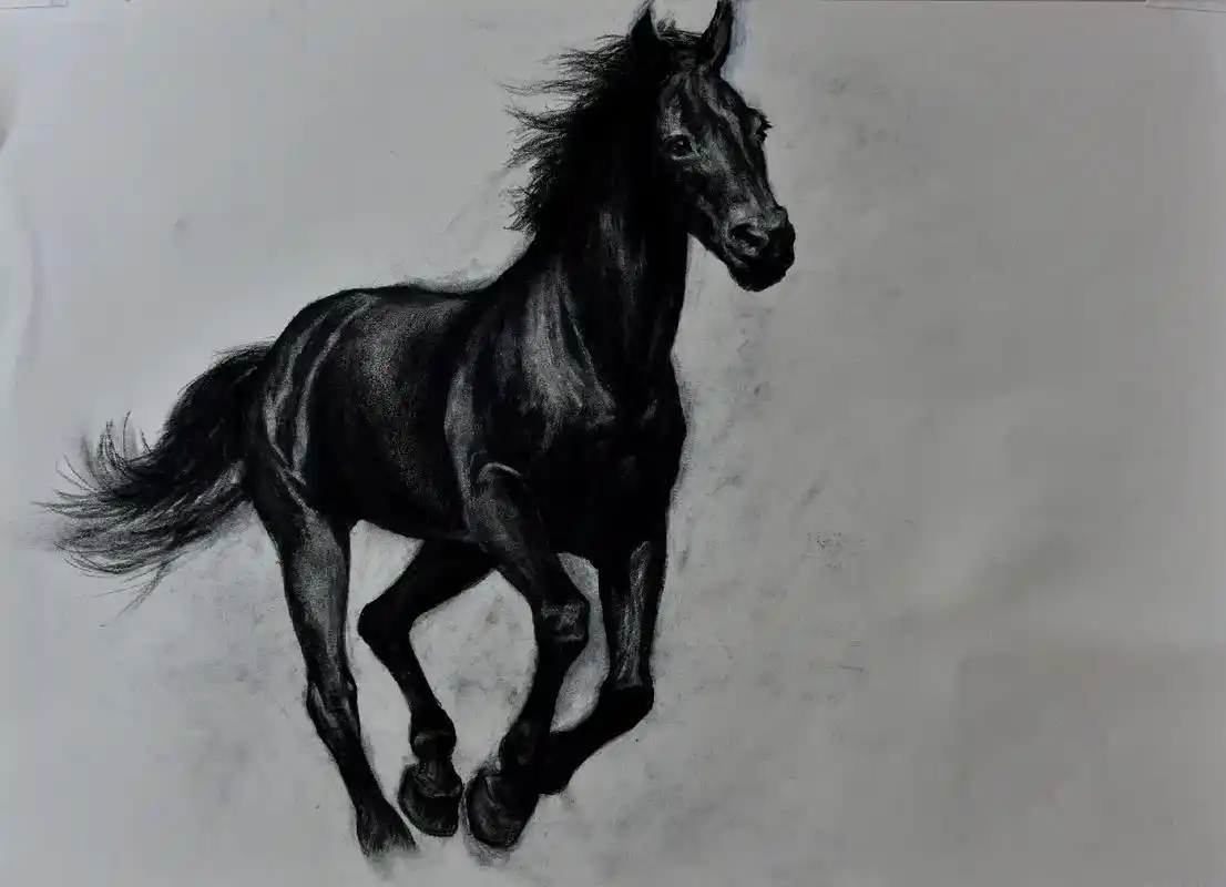 素描 #从今年3月份起陆陆续续画了9幅《马》的素描稿,现在 - 抖音