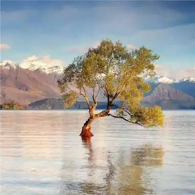 会带来好运的微信头像好运连连微信头像图片
