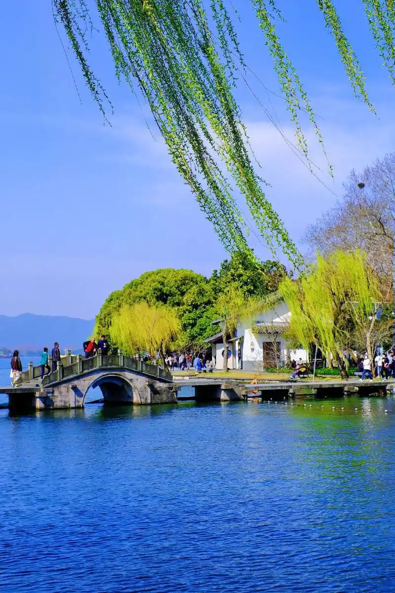 杨柳依依醉春风,桃花朵朵别样红 #西湖 #西湖美景三月天 #春天总要去