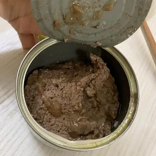 【讨论】希兰蒂袋鼠是酸臭酸臭的吗