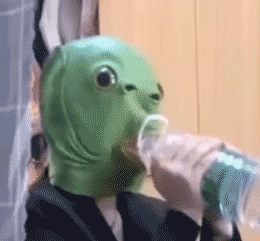 260_241gif 动态图 动图