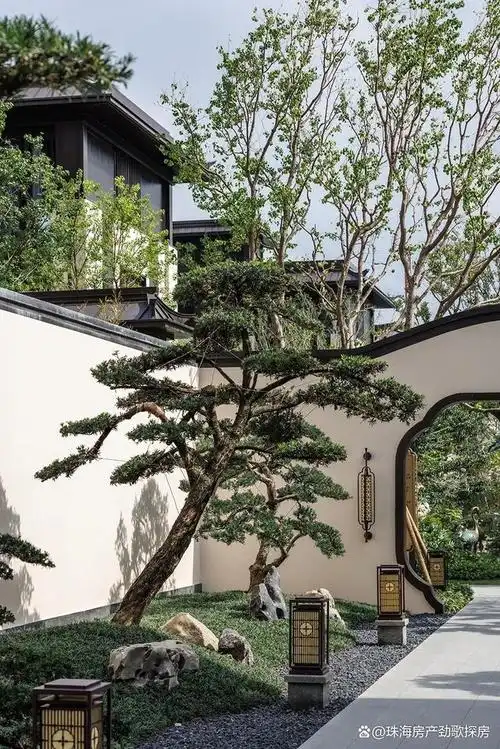 彰显大家风范,三五知己席地而坐,坐观世界的风华院子#中式庭院#别墅