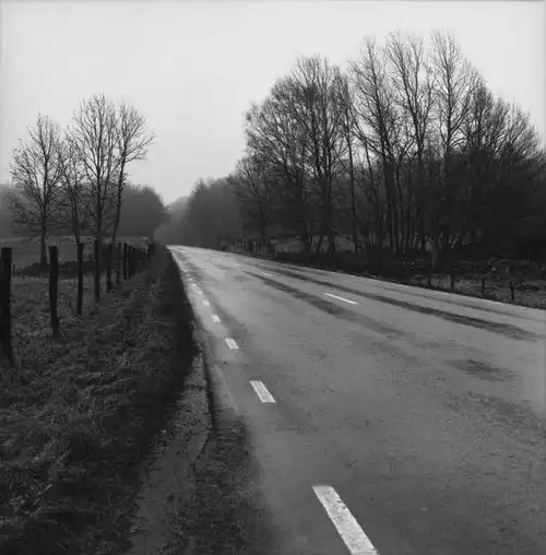 无人,方图,黑白,室外,白天,正面,旅游,度假,草地,美景,植物,雾,道路