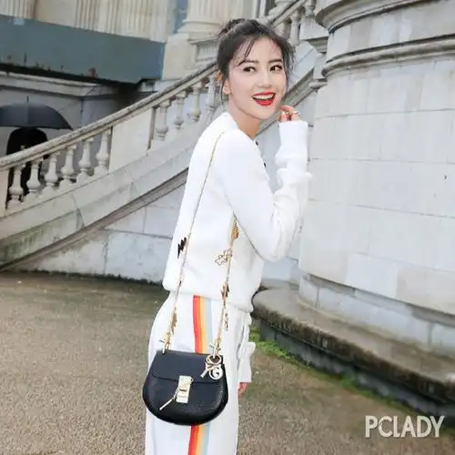 谁才是当红it bag 就看哪款包包被明星翻了牌|街拍|斜挎包|明星_新浪