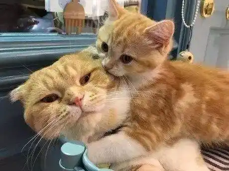 男生都想要一个这样粘人的女票