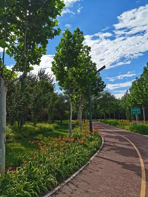 凉水河公园随拍hm os