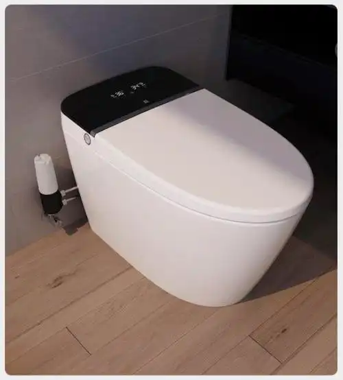 大白增压智能马桶怎么样 大白增压智能马桶好不好 _什么值得买