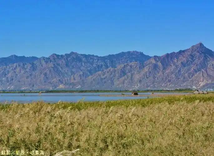 阴山,你居然是这样的"分界线"