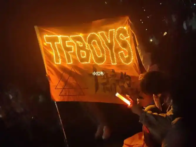 tfboys九周年校园巡演  #浪漫主义  #tfboys橙海   最有意义的5.